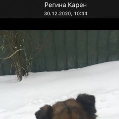 ����: ������� ������ �������� ������� �������� ������ �������� ������� ��������� � �. ���������