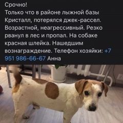 Подробнее об объявлении «Новый Уренгой Пропала собака кобель» Фото: пропала собака Джек рассел терьер «Новый Уренгой Пропала собака кобель» в г. Новый Уренгой