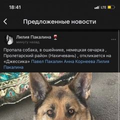 Подробнее об объявлении «Пропала собака Ростов-на-Дону» Фото: пропала собака Немецкая овчарка «Пропала собака Ростов-на-Дону» в г. Ростов-на-Дону