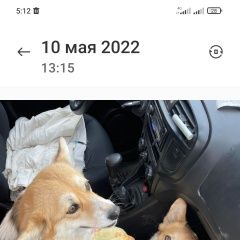 ����: ������� ������ ����� ����� �������� ������ ������ � �. �����