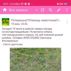 Подробнее об объявлении «Челябинск Пропала собака бр.кашириных 105 последний раз видели» Фото: пропала собака  «Челябинск Пропала собака бр.кашириных 105...» в г. Челябинск