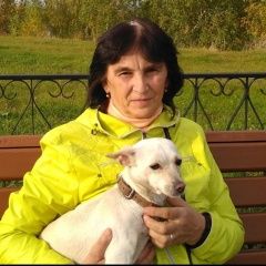 Подробнее об объявлении «Кстово Пропала собака» Фото: пропала собака  «Кстово Пропала собака» в г. Кстово