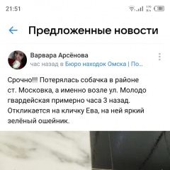 Подробнее об объявлении «Омск Пропала собака звать ева хвоста нет на ней ошейник зеле» Фото: пропала собака Той-терьер «Омск Пропала собака звать ева хвоста нет на ней...» в г. Омск