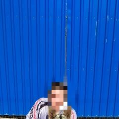 Подробнее об объявлении «Астрахань Пропала собака» Фото: пропала собака  «Астрахань Пропала собака» в г. Астрахань