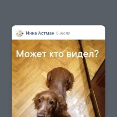 Подробнее об объявлении «Липецк Пропала собака» Фото: пропала собака Английский кокер-спаниель «Липецк Пропала собака» в г. Липецк