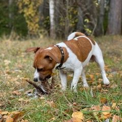 ����: ������� ������ ���� ������ ������ �������� ������ ������ ������� � �. ������