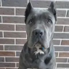 ����: ������� ������ ����-����� ���������� ������� ������ ����� ����-�����. ������� � �. ���������