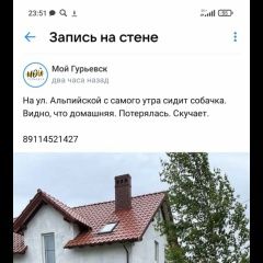 Подробнее об объявлении «Пропала собака кобель Гурьевск (Калининградская обл.)» Фото: пропала собака  «Пропала собака кобель Гурьевск (Калининградская...» в г. Гурьевск (Калининградская обл.)
