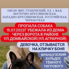 Подробнее об объявлении «Краснодар Пропала собака французский бульдог» Фото: пропала собака Французский бульдог «Краснодар Пропала собака французский бульдог» в г. Краснодар