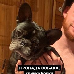 Подробнее об объявлении «Москва Пропала собака кобель французский бульдог по кличке рокки черн» Фото: пропала собака Французский бульдог «Москва Пропала собака кобель французский...» в г. Москва