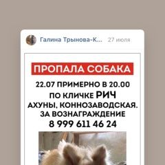 Подробнее об объявлении «Пенза Пропала собака кобель» Фото: пропала собака  «Пенза Пропала собака кобель» в г. Пенза