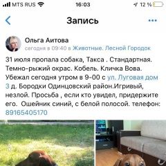 Подробнее об объявлении «Пропала собака кобель помогите найти любимого друга Лесной Городок» Фото: пропала собака Такса «Пропала собака кобель помогите найти любимого...» в г. Лесной Городок