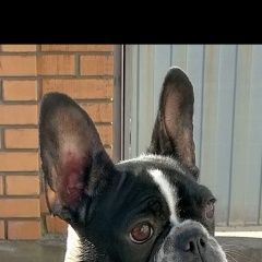 ����: ������� ������ ����������� ������� �������� ������ ����������� ������� ���������� � �. ���������