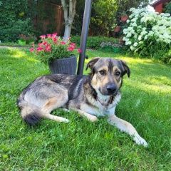 ����: ������� ������  ������� ������� ������ ������� � �. ������