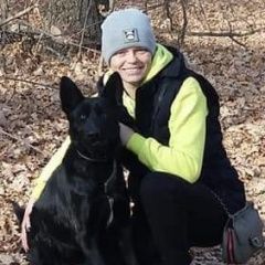 Подробнее об объявлении «Пропала собака Одинцово» Фото: пропала собака  «Пропала собака Одинцово» в г. Одинцово