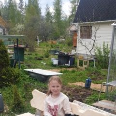 Подробнее об объявлении «Пропала собака спб выборгский район Санкт-Петербург» Фото: пропала собака  «Пропала собака спб выборгский район...» в г. Санкт-Петербург