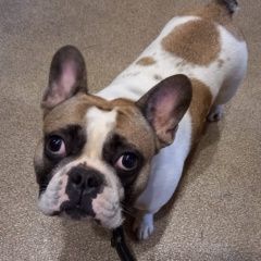 ����: ������� ������ ����������� ������� �������� ������ ������� � �. ������