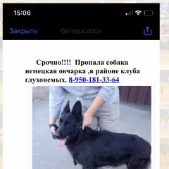 Подробнее об объявлении «Орск Пропала собака чёрная овчарка» Фото: пропала собака  «Орск Пропала собака чёрная овчарка» в г. Орск
