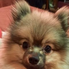 ����: ������� ������ ����������� ���� �������� ������ ������ ���� ������� ����� � �. ������� �����