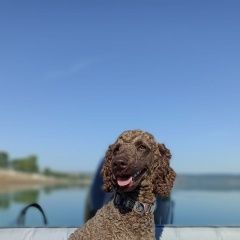 ����: ������� ������ ������ �������� ������ ������ ���������� � �. ����������