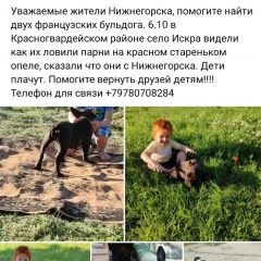 Картинка пропала собака В городе Нижнегорский пропал собакен. Нижнегорский