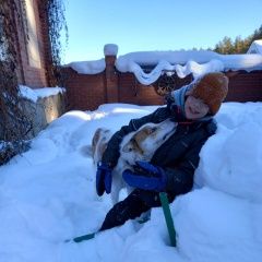 Подробнее об объявлении «Белоярский (Свердловская обл.) Пропала собака кобель деревня гилева» Фото: пропала собака Западно-сибирская лайка «Белоярский (Свердловская обл.) Пропала собака...» в г. Белоярский (Свердловская обл.)