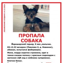 Подробнее об объявлении «Красногорск Пропала собака кобель мо, д. новинки, павлово-2» Фото: пропала собака Йоркширский терьер «Красногорск Пропала собака кобель мо, д....» в г. Красногорск