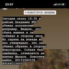 Подробнее об объявлении «Москва Пропала собака кобель» Фото: пропала собака Голден ретривер «Москва Пропала собака кобель» в г. Москва