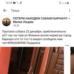 Подробнее об объявлении «Пропала собака кобель Барнаул» Фото: пропала собака Американский бульдог «Пропала собака кобель Барнаул» в г. Барнаул