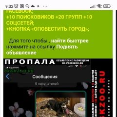 Подробнее об объявлении «Анапа Пропала собака кобель» Фото: пропала собака  «Анапа Пропала собака кобель» в г. Анапа