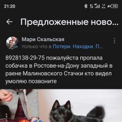 Подробнее об объявлении «Пропала собака. Ростов-на-Дону» Фото: пропала собака  «Пропала собака. Ростов-на-Дону» в г. Ростов-на-Дону