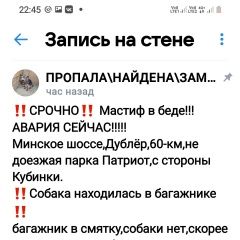 Подробнее об объявлении «Дорохово Пропала собака кобель собака после аварии» Фото: пропала собака Мастиф «Дорохово Пропала собака кобель собака после аварии» в г. Дорохово