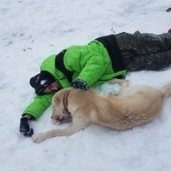 Подробнее об объявлении «Быково (Московская обл.) Пропала собака кобель бшо» Фото: пропала собака >  Большая швейцарская горная пастушья  собака «Быково (Московская обл.) Пропала собака кобель бшо» в г. Быково (Московская обл.)