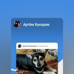 Подробнее об объявлении «Пропала собака кобель помогите пожалуйста найти собачку Новомосковск» Фото: пропала собака  «Пропала собака кобель помогите пожалуйста найти...» в г. Новомосковск