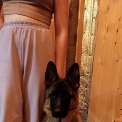 Подробнее об объявлении «Пропала собака кобель Нижний Новгород» Фото: пропала собака Немецкая овчарка «Пропала собака кобель Нижний Новгород» в г. Нижний Новгород