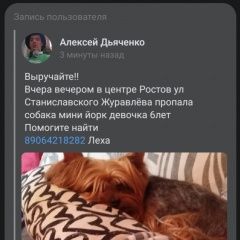 Подробнее об объявлении «Пропала собака мини йорк девочка с лишним весом кличка Ростов-на-Дону» Фото: пропала собака Йоркширский терьер «Пропала собака мини йорк девочка с лишним весом...» в г. Ростов-на-Дону