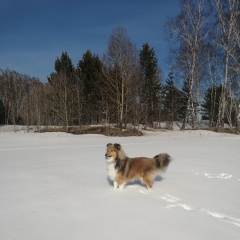 ����: ������� ������ ����� �������� ������ ���������� � �. ����������