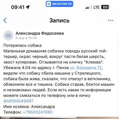 Подробнее об объявлении «Пенза Пропала собака в районе арбековского рынка потерялась м» Фото: пропала собака Русский той-терьер «Пенза Пропала собака в районе арбековского...» в г. Пенза