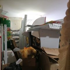 Подробнее об объявлении «Пропала собака кобель и 2 французских бульдога Анапа» Фото: пропала собака Французский бульдог «Пропала собака кобель и 2 французских бульдога...» в г. Анапа