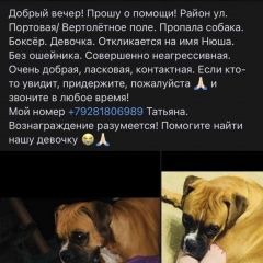 Подробнее об объявлении «Пропала собака Ростов-на-Дону» Фото: пропала собака  «Пропала собака Ростов-на-Дону» в г. Ростов-на-Дону