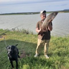 Подробнее об объявлении «Пропала собака кобель Железноводск(Ставропольский)» Фото: пропала собака Лабрадор ретривер «Пропала собака кобель Железноводск(Ставропольский)» в г. Железноводск(Ставропольский)