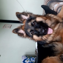 ����: ������� ������ �������� ������� �������� ������ ��������� � �. ���������