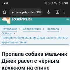 Подробнее об объявлении «Пропала собака мальчик джек расел Белореченск» Фото: пропала собака Джек рассел терьер «Пропала собака мальчик джек расел Белореченск» в г. Белореченск