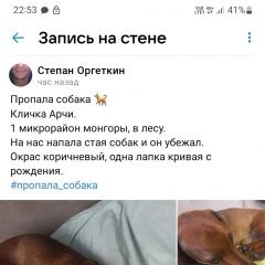 Подробнее об объявлении «Пропала собака кобель кличка арчи кобель Сызрань» Фото: пропала собака Такса «Пропала собака кобель кличка арчи кобель Сызрань» в г. Сызрань
