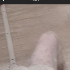 Подробнее об объявлении «Брянск Пропала собака кобель» Фото: пропала собака Мальтийская болонка «Брянск Пропала собака кобель» в г. Брянск