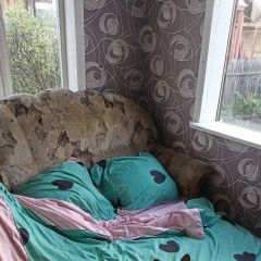 Подробнее об объявлении «Железногорск Пропала собака кобель, по кличке пикки» Фото: пропала собака Китайская хохлатая собака «Железногорск Пропала собака кобель, по кличке...» в г. Железногорск