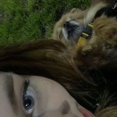 Подробнее об объявлении «Казань Пропала собака кобель умоляю…найдите мою собаку…» Фото: пропала собака Чихуахуа «Казань Пропала собака кобель умоляю…найдите мою...» в г. Казань