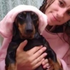 Подробнее об объявлении «Заречный (Пензенская обл.) Пропала собака такса, муся, 4года» Фото: пропала собака Такса «Заречный (Пензенская обл.) Пропала собака...» в г. Заречный (Пензенская обл.)