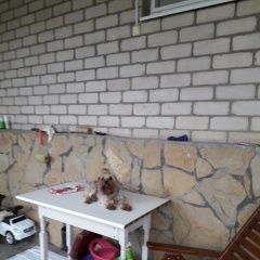 Подробнее об объявлении «Славянск-на-Кубани Пропала собака кобель йорк район копыла» Фото: пропала собака Йоркширский терьер «Славянск-на-Кубани Пропала собака кобель йорк...» в г. Славянск-на-Кубани