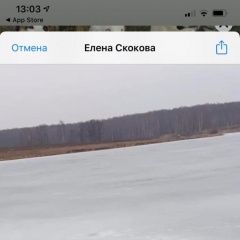 Подробнее об объявлении «Чехов Пропала собака» Фото: пропала собака  «Чехов Пропала собака» в г. Чехов